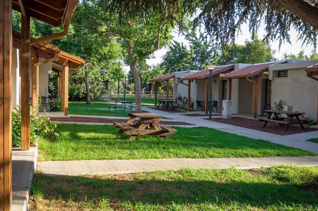 Merom Golan Resort Стая снимка